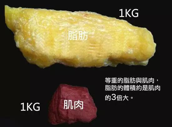 基础健身知识，3个月抵别人半年的健身效果