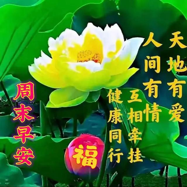 简单好看的图片大全，又简单又好看的绘画图片（早上好美好的周末祝福你）