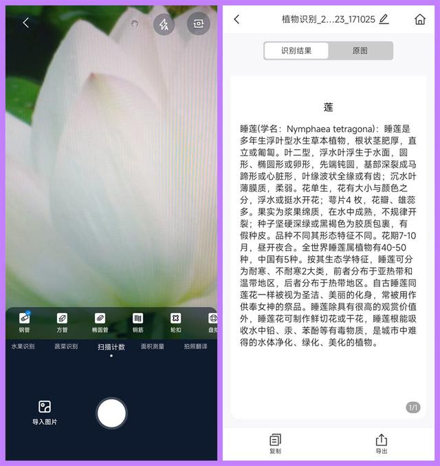 微信消息免打扰还能收到信息吗，消息免打扰还能收到消息吗（简直就是强迫症患者的福音）