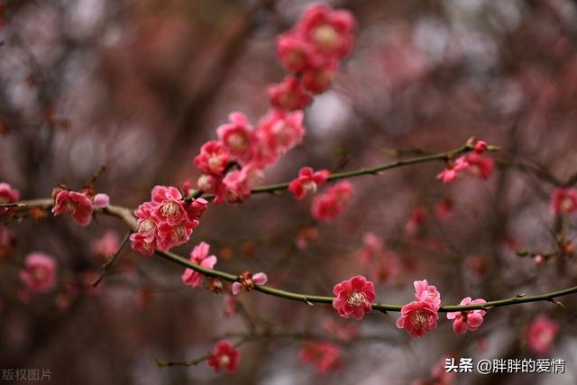 不辜负时光不辜负自己的句子，不辜负时光不辜负自己的句子有哪些（勿忘初心；好好爱自己）