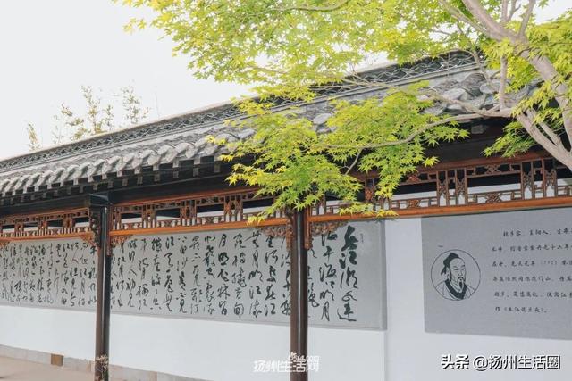 扬州市哪个区比较繁华，扬州市哪个区比较繁华点（你好，瓜洲，重新认识一下）