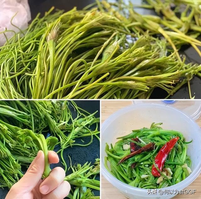 泸沽湖三大禁忌，泸沽湖和洱海哪个更值得去（泸沽湖畔摩梭人的传统食材与饮食文化）