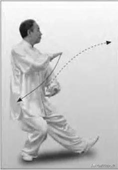 杨式太极拳野马分鬃图解，四十二式太极拳野马分鬃详解（24式太极拳图解说明和要点）