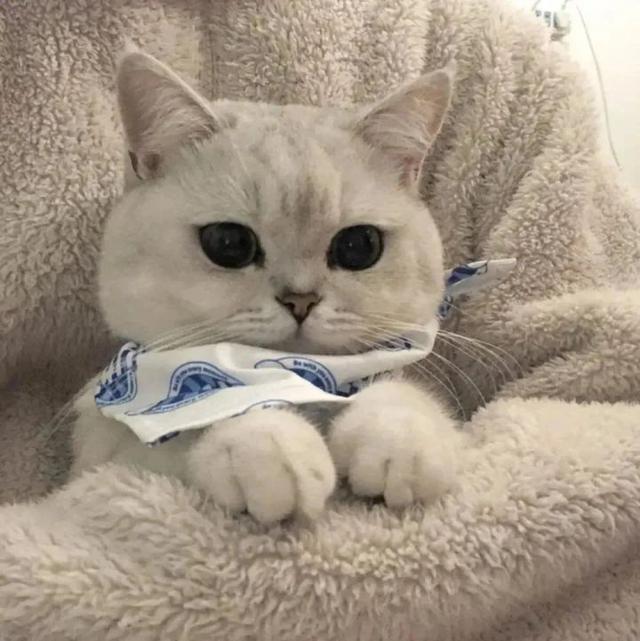 情侣网名二字简约，简约的二字情侣网名   她心|他城微信昵称（怎么不算是好的情侣网名呢）