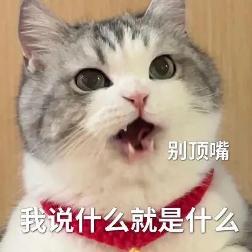 猫猫表情包，猫猫虫表情包（你家里是开幼儿园的吗图片）