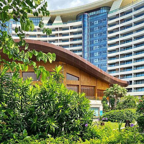 近乎完美的体验，入住报告，三亚维也纳国际酒店