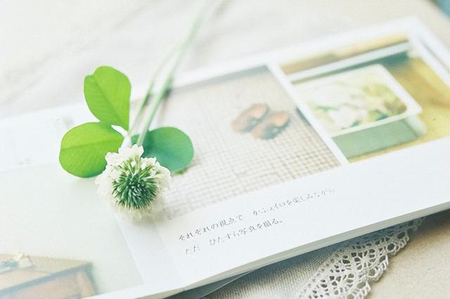 婚外情有真感情吗，婚外情也有着真正的爱情吗（大多数婚外情里都没有爱）