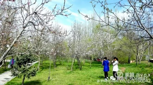 南山公园在哪里，深圳大南山公园开放时间（这是你们熟悉的那个南山公园吗）