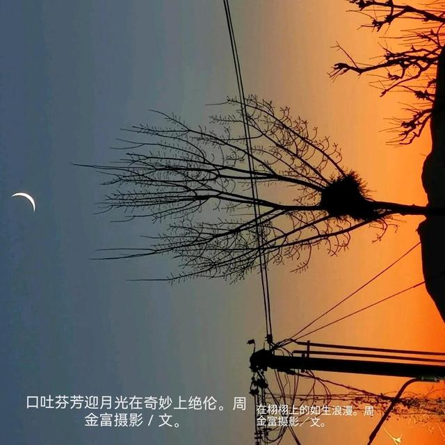 一个木一个羽是读什么，一个木两个羽读什么（在学习上认不出字，焉为语师）