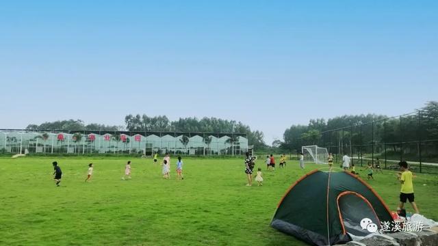 2022湛江旅游攻略，一个风光秀美的海滨城市（广东湛江：嗨翻一“夏”）