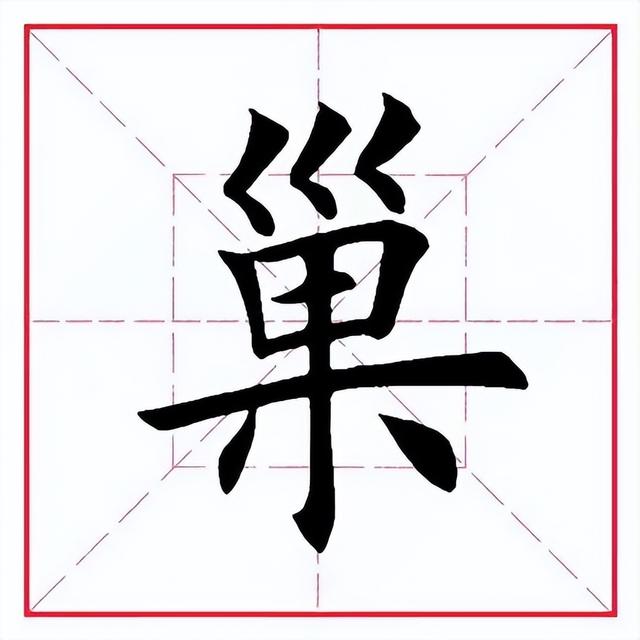 巢读音及解释，巢组词（每日一字428：巢）