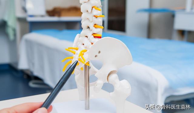 股骨头手术费用，股骨头置换手术费用是多少（治疗股骨头坏死费用多少钱）