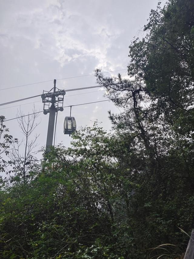 歌乐山森林公园，重庆旅游必去景点（歌乐山国家森林公园）