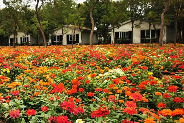 广州景点排行榜前十名，广州旅游景点排名前十（广州十大冷门景点）