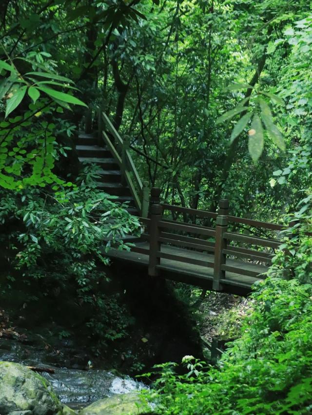 什邡市景点，什邡景点旅游景点（成都周边绝美“禁林”）