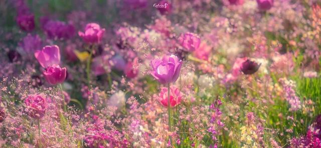 泡泡吹泡泡网名，泡泡吹泡泡微信昵称（充满夏天气息的女生网名）