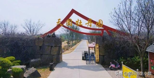 洛阳最值得一看的牡丹园，史上最全的洛阳牡丹观赏园