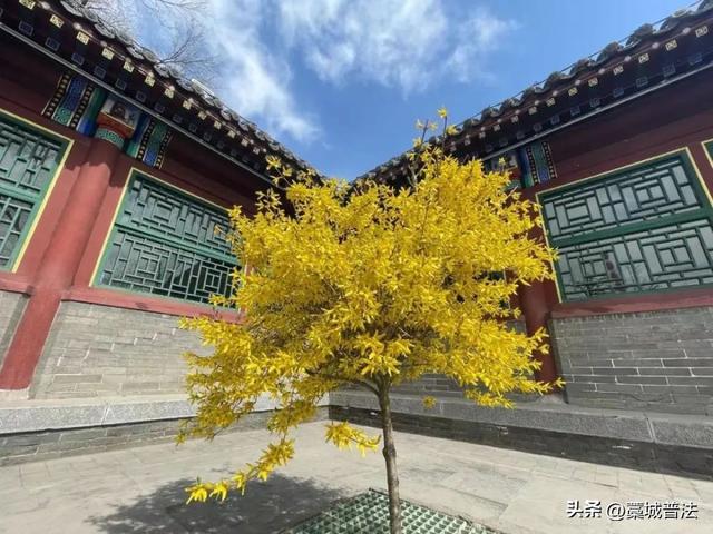 石家庄免费景点，石家庄市风景旅游景点（这些人可免费乘石家庄地铁）