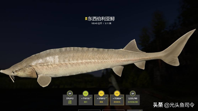 长江名贵鱼前十名，10大凶猛淡水鱼（我国保护的鱼类有87种）