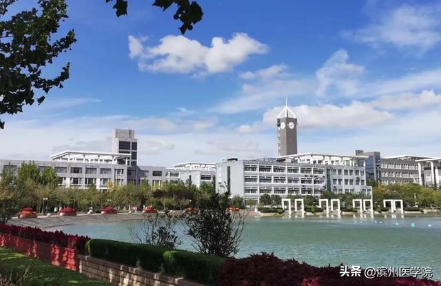 定向就业是什么意思 什么是定向就业，定向就业是什么意思（滨州医学院2023年硕士研究生报考问题汇总）