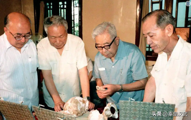 5000年前是什么朝代，中国5000年前是什么朝代（中国人是怎么知道有五千年历史的）