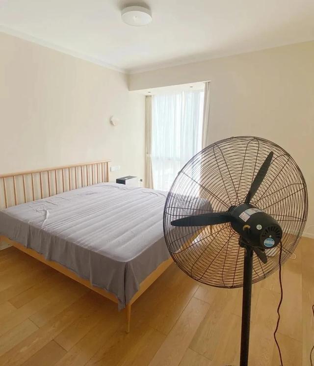 怎样除甲醛最快最有效的方法，甲醛怎么去除（去除甲醛最有效、最快的方法）