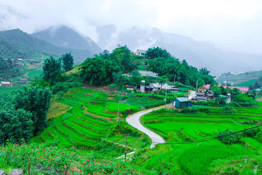 违法占地怎么处理（农民朋友注意）