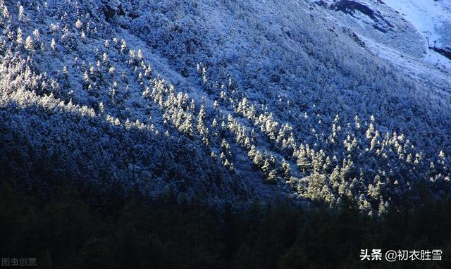 关于雪的诗句古诗，赞美雪的诗句古诗（古诗中的飘飘雪八首）