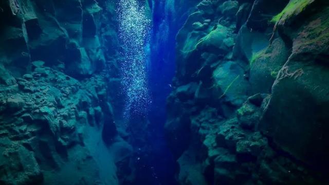 海底最深处出现了神秘的生物，在马里亚纳海沟发现的10种神秘生物