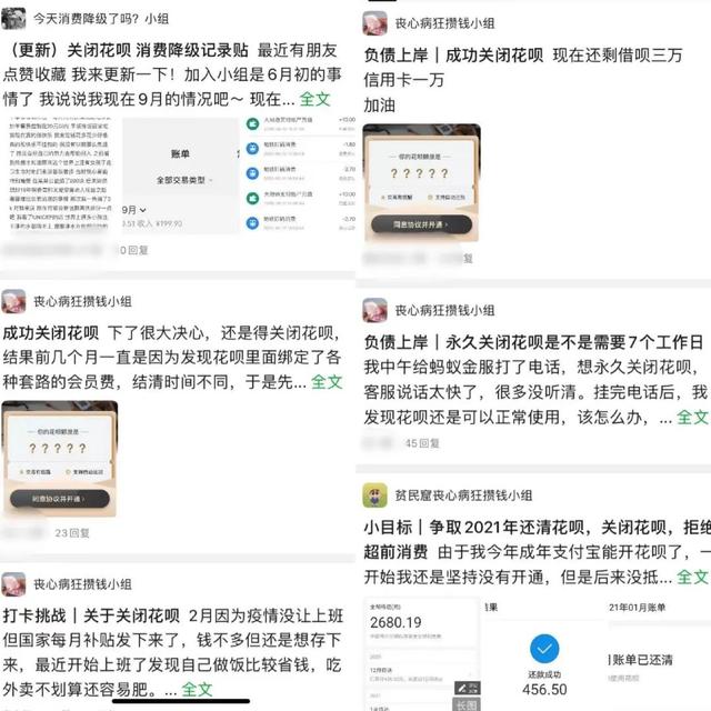 花呗是什么意思，花呗金是什么意思（别了，花呗）