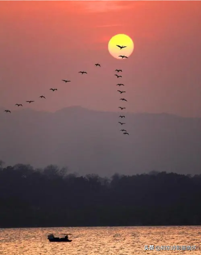 夕阳余晖的唯美诗句，落日余晖的唯美诗句（蝶恋花•落日感怀）