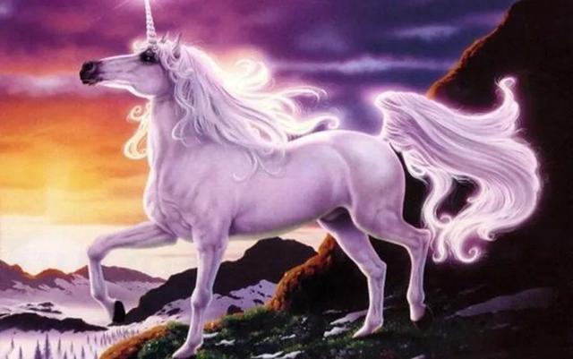 独角兽应该怎样画,独角兽应该怎样画才好看(综合创意画--神秘的独角兽