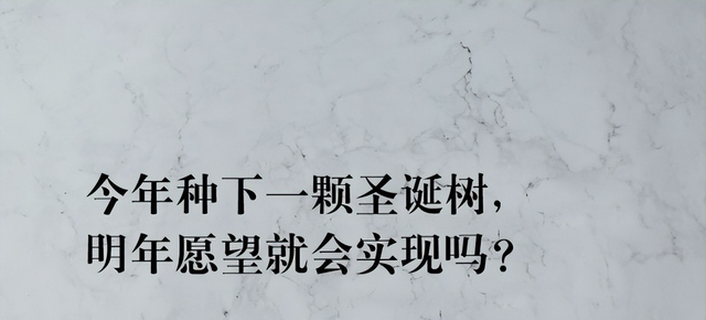 圣诞节贺卡英文祝福语，圣诞节文案祝福语大全100句