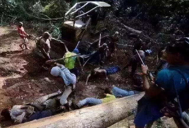 世界第一大树，世界四大草原（用双手在空旷的沙漠中种树）