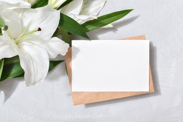 关于眼眸的唯美句子，形容眼睛有灵气的唯美句子（目光所及皆是温柔的励志短句）