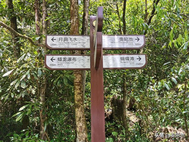 怎样游览邛崃天台山，去邛崃天台山（2022夏日自驾旅行体验）