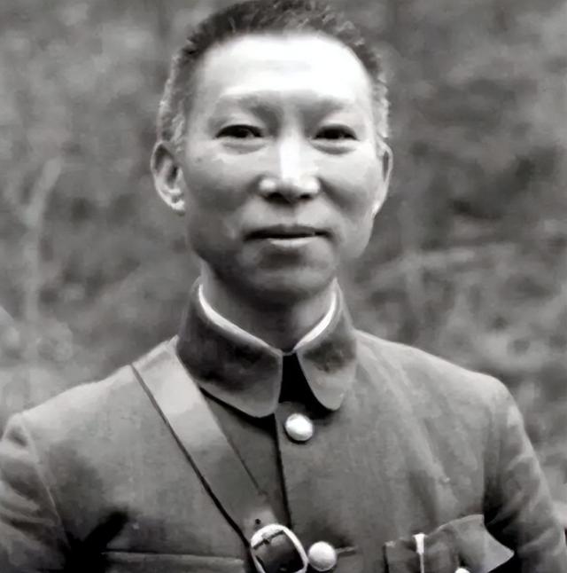 国名党十大名将排名,国名党十大名将排名一级上将