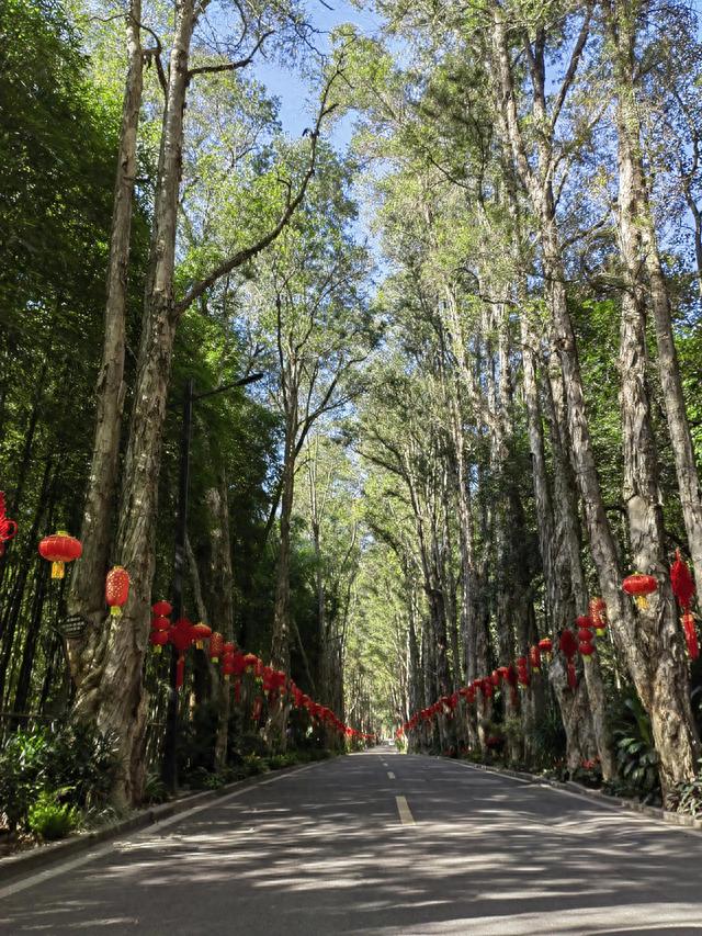 福州国家森林公园