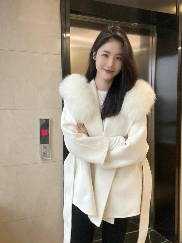 蚜虫靠吃什么为生，蚜虫吃植物的什么部位（菜地里的搬运工——蚂蚁）