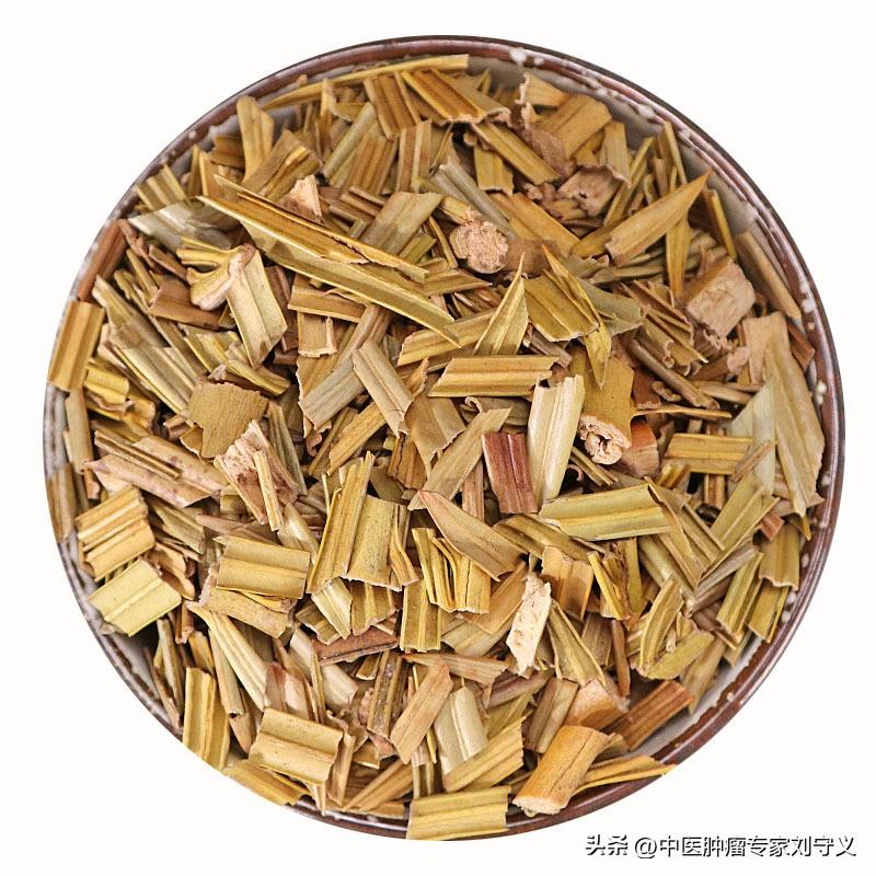 防癌抗癌的中草药铁树叶(止血止痛又解毒,改善癌痛效果出众) - 彝家