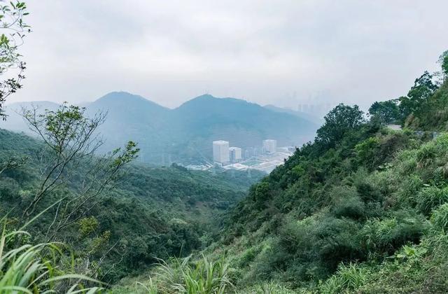 深圳好玩的免费景点，深圳哪里好玩的景点（来深圳这10个地方免费玩）