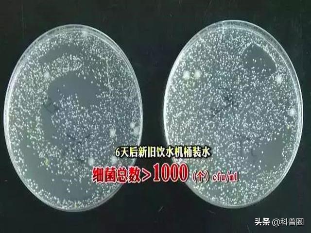 饮水机原理图1，饮水机工作原理图解（竟然比马桶水还脏）