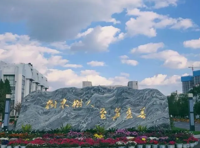 云南所有大学排名，云南的大学排名一览表公办（云南高校排行榜出炉）