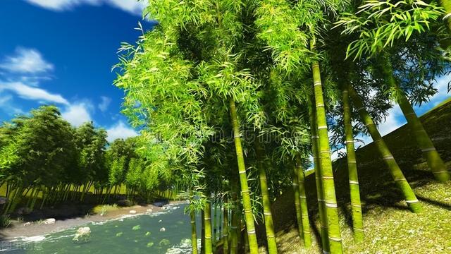 十二首诗词中的“读书乐”，乐时光、乐学识、乐同学、还有乐爱情