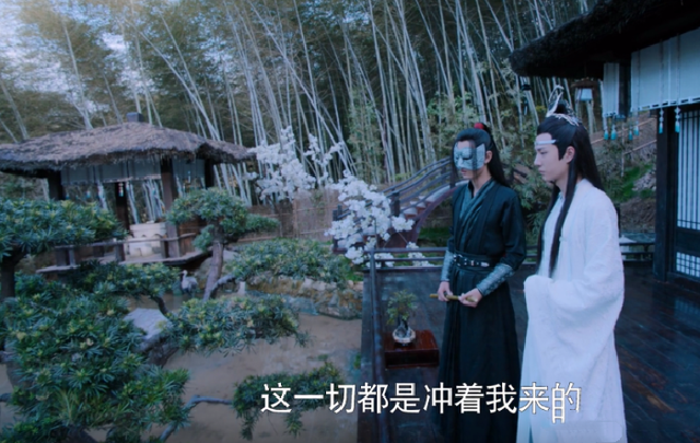 陈情令兔子是什么意思，陈情令中送兔子是哪一集（陈情令：云深不知处禁止养宠物）