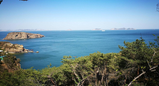 蛇岛的中国蛇岛，中国境内的蛇岛（2万毒蛇齐聚0.8平方公里小岛）