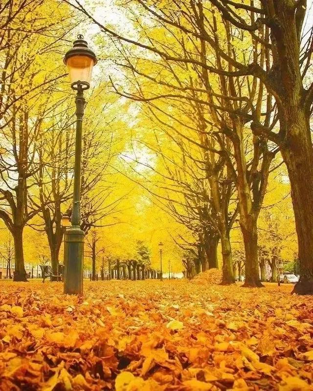 管理的职能主要包括哪些内容，管理的职能主要包括哪些内容和职能（德鲁克《管理的实践》介绍）