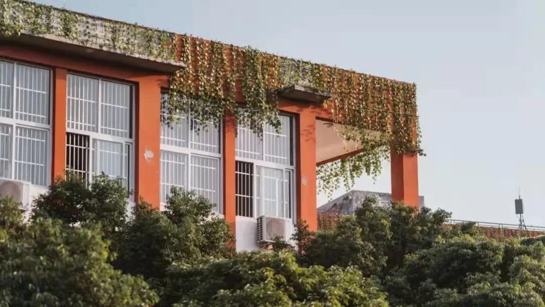 四川文化艺术学院是几本，四川师范大学（四川省12所本科高职单招计划汇总）