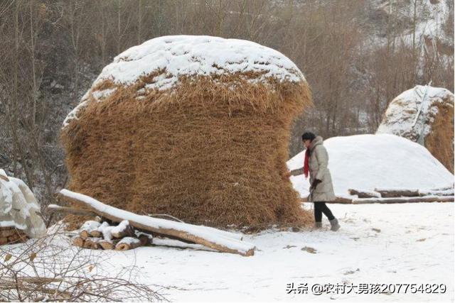 农村土灶台怎么不好烧，农村的土灶台