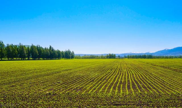 美国加息利好什么板块，美国加息是什么意思（对于A股有什么影响）